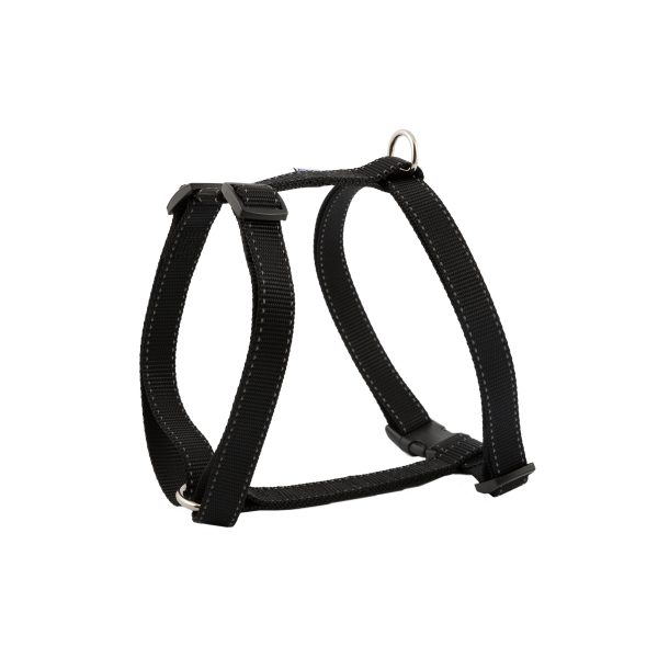 dog exercise harness