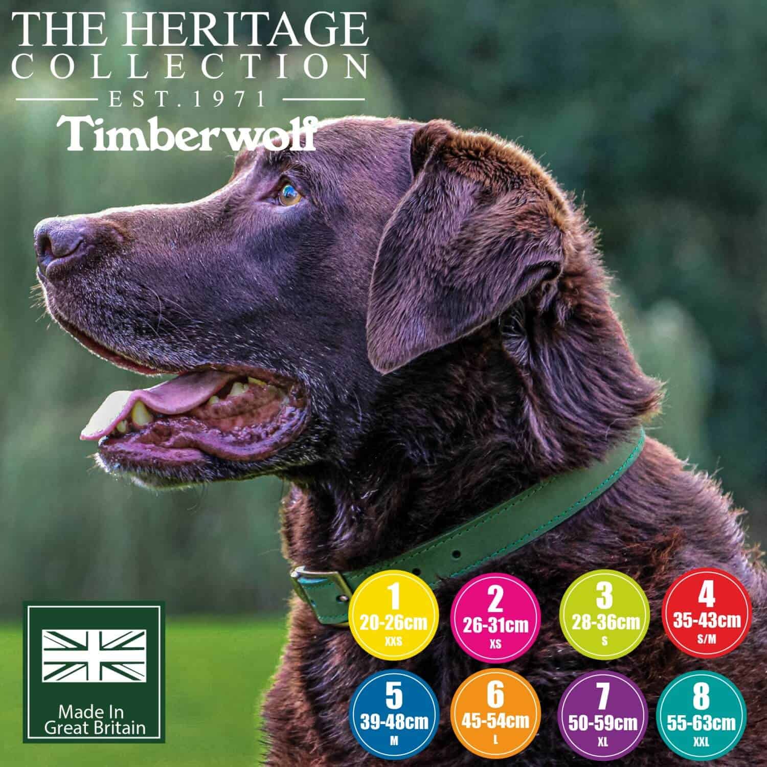 Timberwolf Top-Grain Bridle Leather Lead/Leash Optional Ancol Personalised Dog Collars