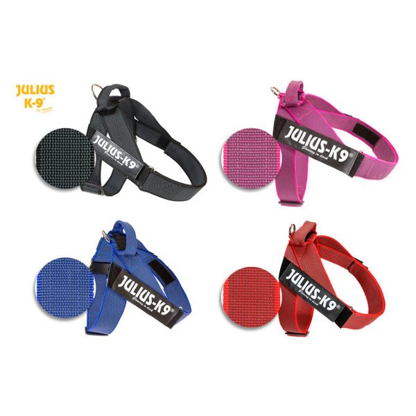 Julius-K9 IDC® Color & Gray Belt Harness