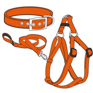 Cat Collars, Leads and Harnesses