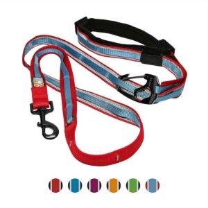 kurgo quantum 6-in-1 dog leash